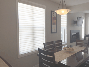 Concept Dual Roller Shades