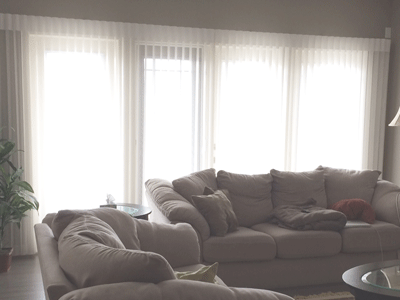 Luminette Privacy Sheers